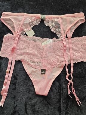 Baby Pink Panty/garter Set Designer Collection - Medium NWT